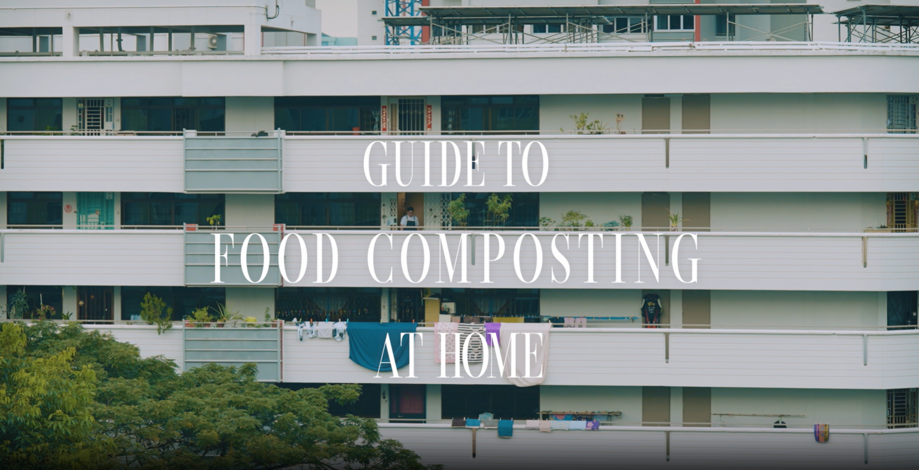 guide to composting.PNG