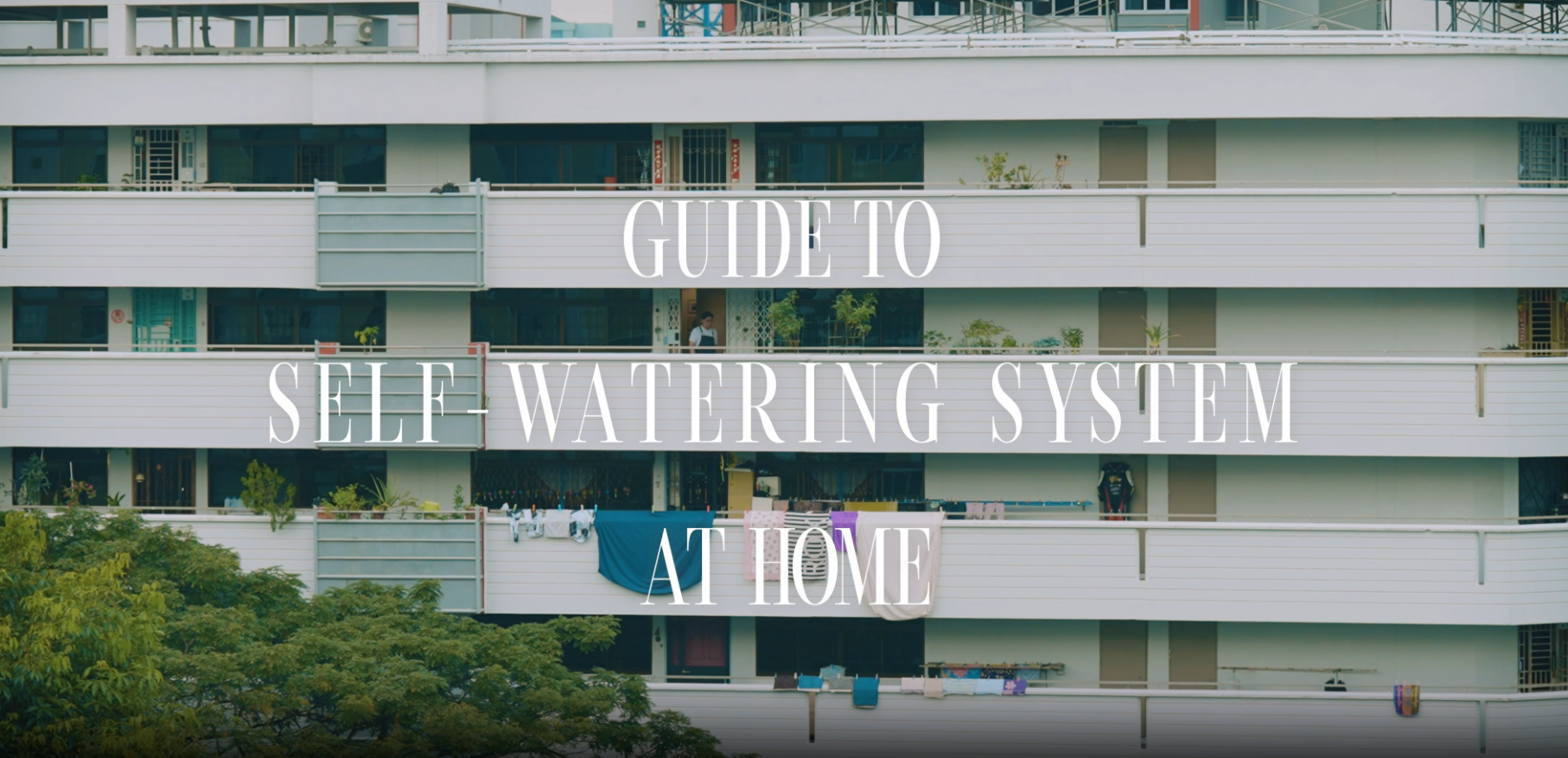 guide to self watering.PNG