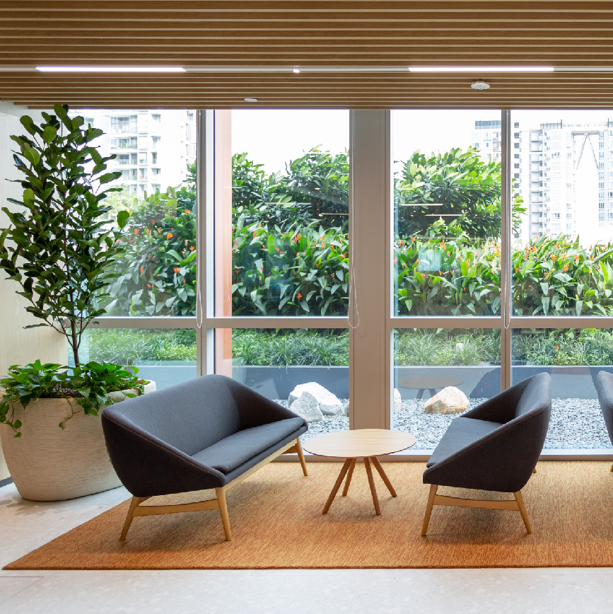 Biophilia & Views Image